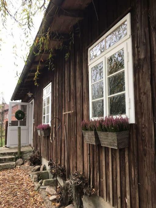 Ferienwohnung Alte Scheune 에게슈토르프 외부 사진